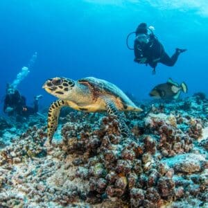 Try Scuba Diving Tour - Hilo
