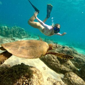 Guided Snorkel Tour with Turtles & Free Videos - Hilo