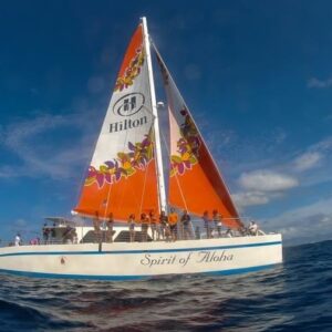 Turtle Snorkel Sail with Lunch