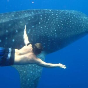 Expedition South Kona