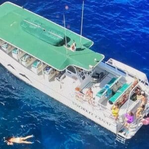 West Maui Snorkelling Half Day