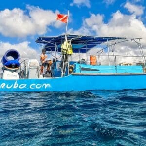 Island Princess Private Charters