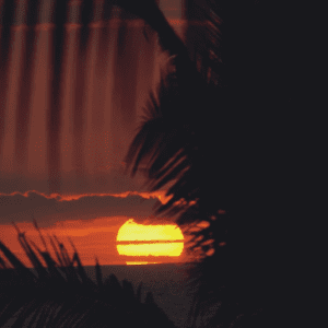 Kona Big Island Van Rental