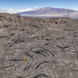 Kona Cruise Ship Guest Special - High Country Adventure