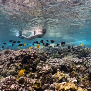 Captain Cook Monument Kealakekua Bay Snorkeling Tour