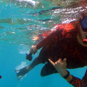 Ocean Kayak and Reef Snorkeling Tour - Olowalu