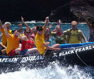 Kealakekua Bay Snorkeling Tour