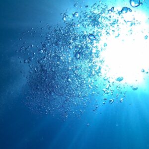 Open Water Diver Course Day 1