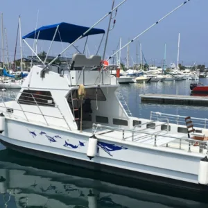 Private snorkeling charter boat anchored near coral reefs
