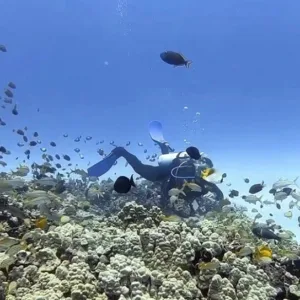 Scuba diver guided on peaceful shore dive