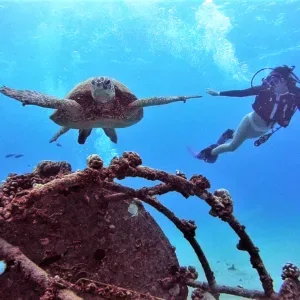 Scuba divers preparing for two tank dive excursion