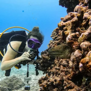 Diverse scuba diving packages available in Waikiki