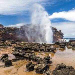 Adventure tour exploring West Maui and Iao Valley sights