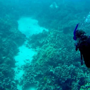 Scuba diver descending into deep blue ocean waters