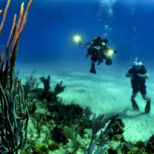 Non-certified divers trying scuba diving for first time