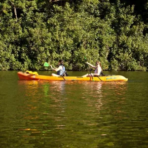 Ocean kayak tour to the hidden Secret Falls waterfall