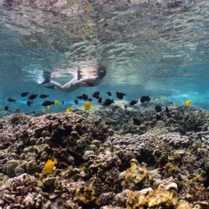 Scenic view of Captain Cook Monument at Kealakekua Bay