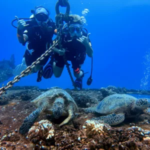 Diver practicing advanced underwater skills near coral reef