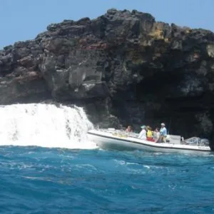 Snorkeling tour with Captain Cook in Kona