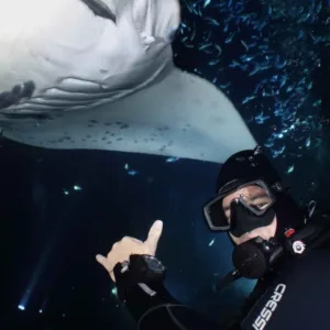 Night scuba dive with manta ray sightings
