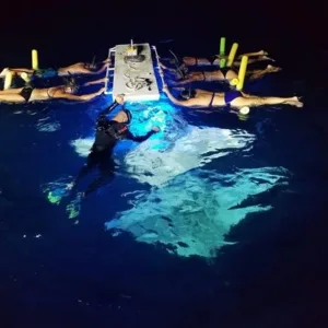 Night snorkeling with manta rays in Kona waters