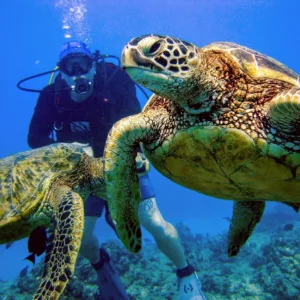 Scuba divers gearing up for two tank dive charter