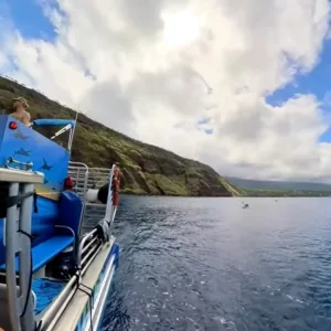 Snorkelers exploring vibrant coral reefs near Captain Cook