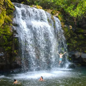 Adventure tour exploring Kohala’s stunning waterfalls and nature