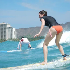 Collection of vibrant island tour photographs