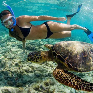 Boat snorkeling tour exploring vibrant underwater life