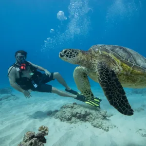 Beginner diver exploring shallow coral reef in Hawaii