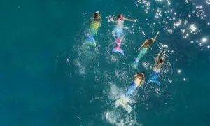 Person dressed as mermaid sitting on rock by sea