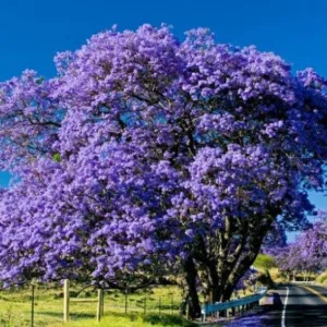 Full day Maui island tour including Haleakala visit