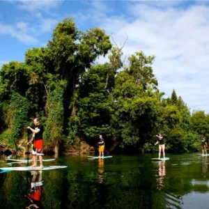 Small private group enjoying stand-up paddleboarding lesson together