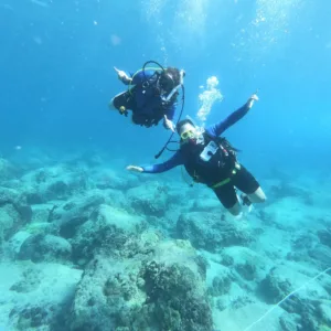 Scuba divers preparing for open water referral dive