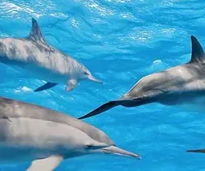 Private charter boat cruising through clear blue waters