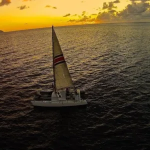 Evening whale watching at sunset glow
