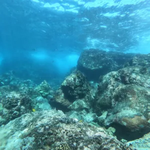 Open water diver course day two with underwater training