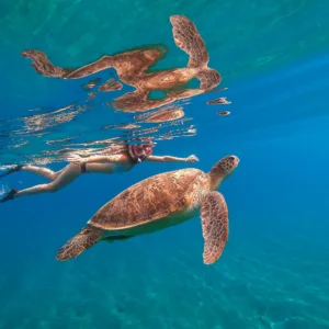 Snorkeler swimming near a sea turtle underwater