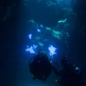 Scuba divers exploring underwater lava formations at Lanai Cathedrals