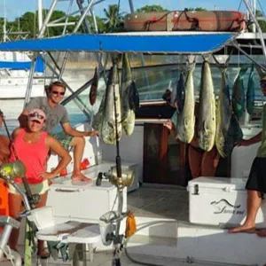 Small group watching dolphins in clear ocean waters