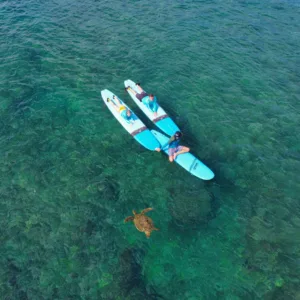 Family receiving surfing lesson on Kahuku beach