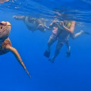 Close-up of sea turtle swimming near snorkeler