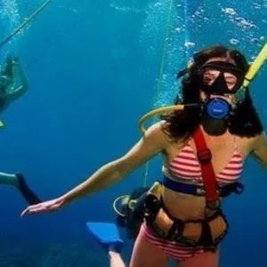 Scuba diver exploring colorful coral reefs