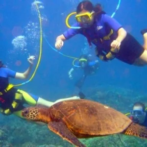 Morning scuba diving adventure along Maui’s west side coastline