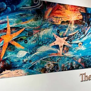 Entrance ticket for general admission at HWDC event