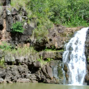 Exploring Waimea Botanical Garden's hidden natural gems