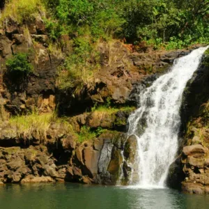 Lush Waimea Botanical Garden in Oahu's hidden spots