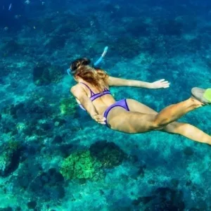 People snorkeling in clear tropical waters