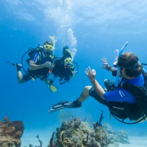 Certified diver boat charter with two shallow dives in Waikiki